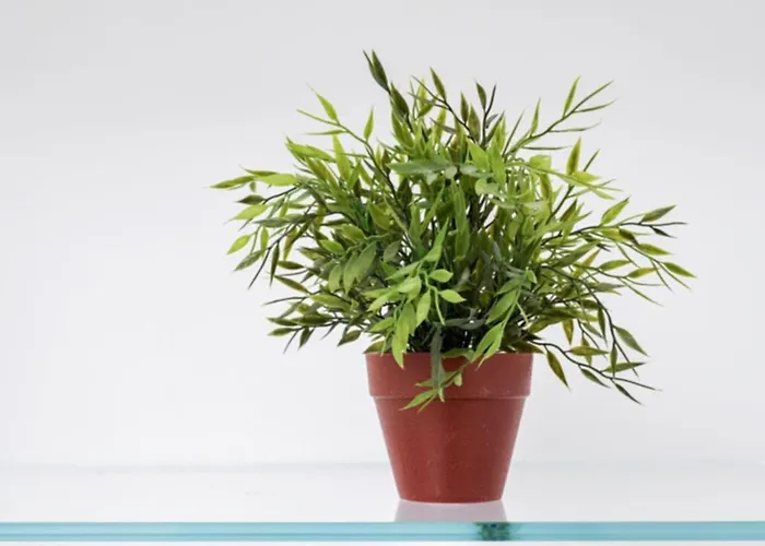 Centre Flats Apartment Amalfi