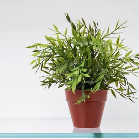 Centre Flats 公寓 阿马尔菲